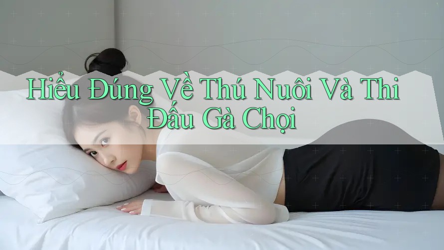 Hiểu Đúng Về Thú Nuôi Và Thi Đấu Gà Chọi