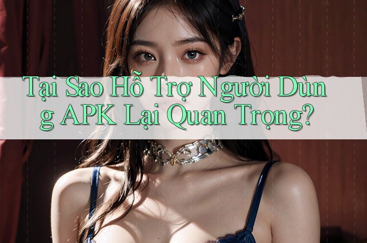 Tại Sao Hỗ Trợ Người Dùng APK Lại Quan Trọng?