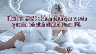 Thabet 2026 kinh nghiệm xương máu có chú thích Poco F6