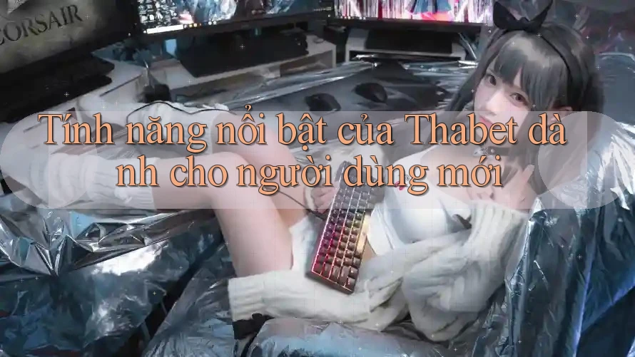 Tính năng nổi bật của Thabet dành cho người dùng mới