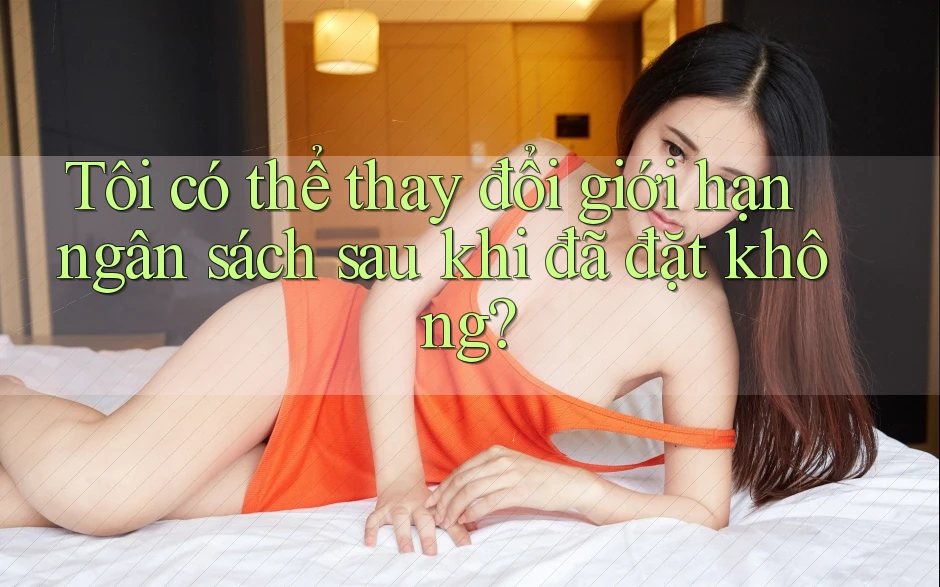 Tôi có thể thay đổi giới hạn ngân sách sau khi đã đặt không?
