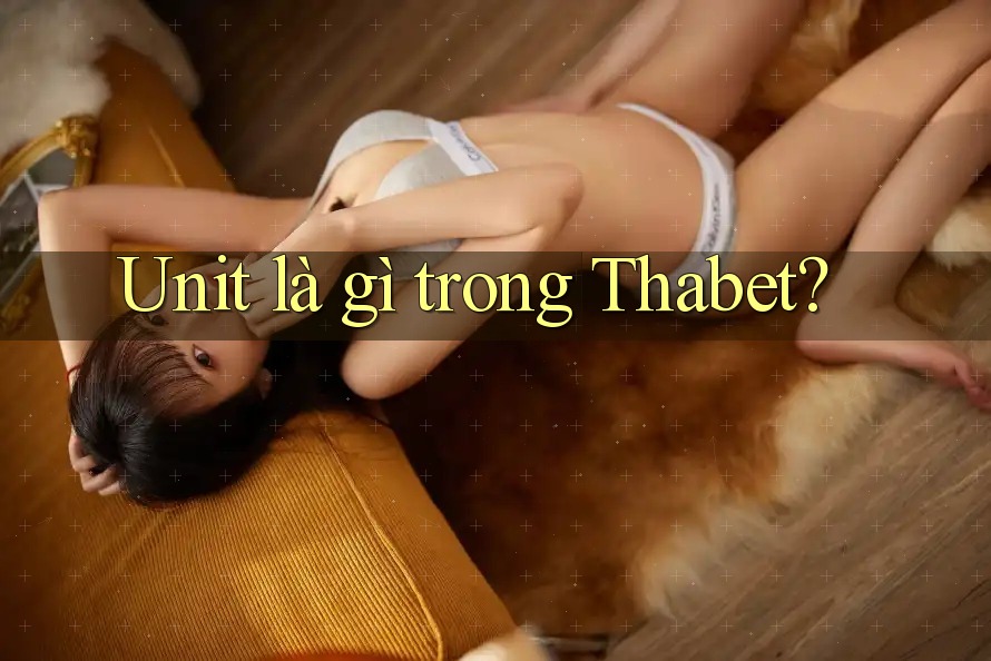 Unit là gì trong Thabet?